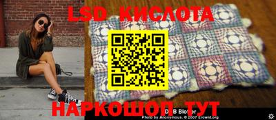 ПСИЛОЦИБИНОВЫЕ ГРИБЫ Можга