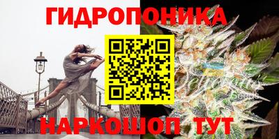спиды Моздок