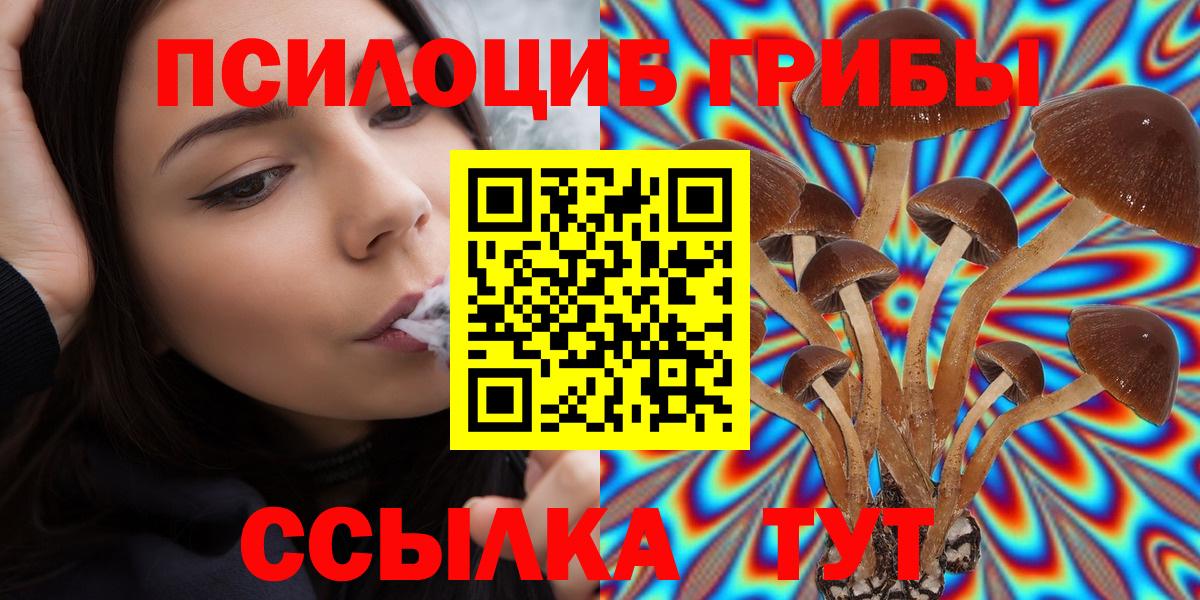 Галлюциногенные грибы MAGIC MUSHROOMS  Вход с VPN  Псилоцибиновые грибы мухоморы  Калач-на-Дону 